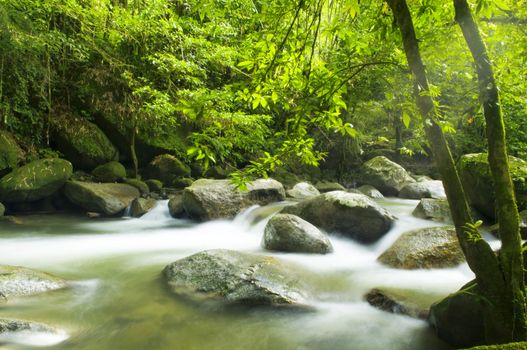 A mountain river with stream falling into it in the morning