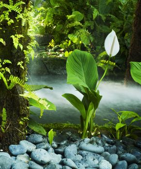 Oriental Garden in slow shutter. 