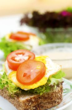 Healthy organic homemade sandwich and salad breakfast.
