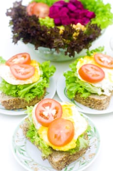 Asian style healthy organic homemade sandwich and salad breakfast.