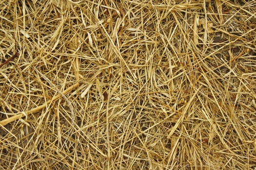 View to straw closeup as background