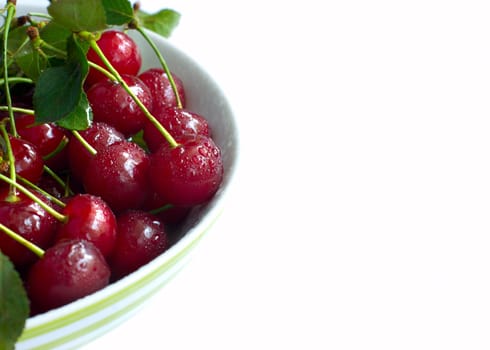 Bowl full of ripe cherries, isolated