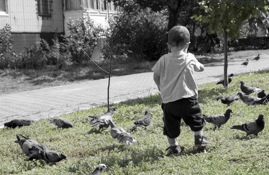 Lonely child and the pigeons