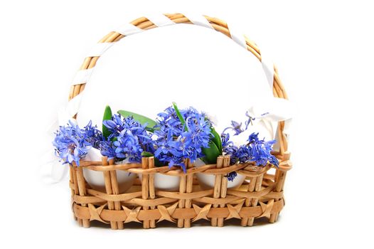 Wattled basket with violets in egg shells over white