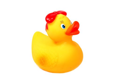Rubber yellow duck isolated on white