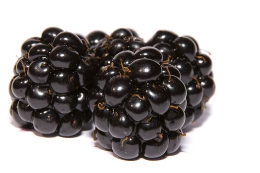 blackberries on a white background 
