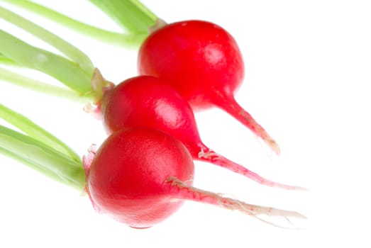 red radish isolated on white background