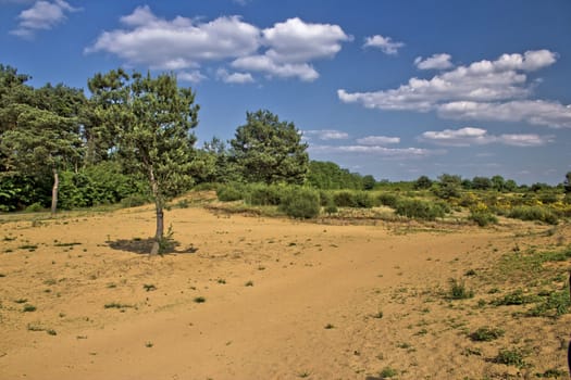 Beautiful green scenery landscape in spring time, "Durdevacki pesk"i desert, Croatia