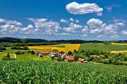 Beautiful green village scenery landscape in spring time, Zaistovec, Croatia