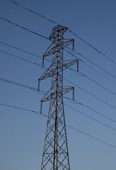 some small birds sitting on high tension wires