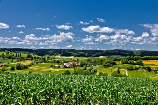 Beautiful green village scenery landscape in spring time, Zaistovec, Croatia