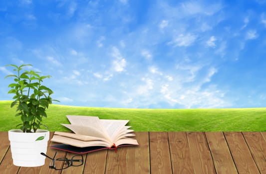 book on wood floor with green grass and blue sky