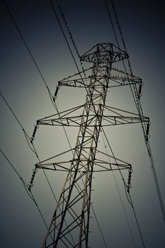 some small birds sitting on high tension wires