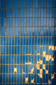 Background in style grunge. Dark blue wall covered with a beaten tile