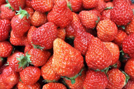 Fresh red strawberry fruits in a pile