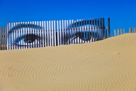 Superposed eyes on the boards of a dune of Cortadura's beach ( Cadiz )