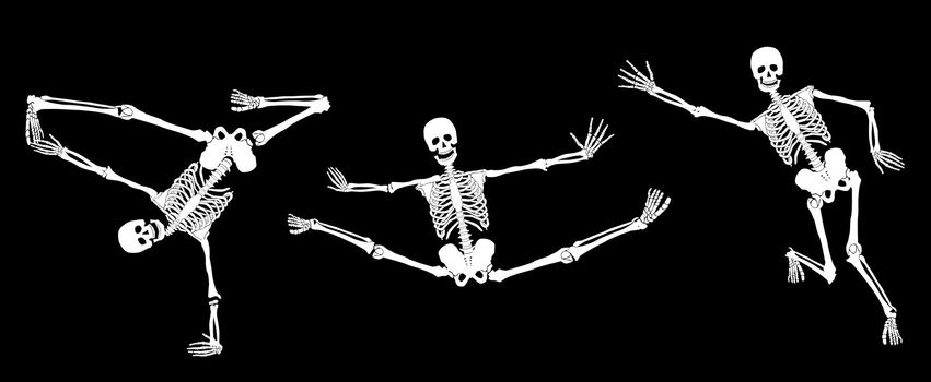 White active skeletons on black. Set #3. Vector