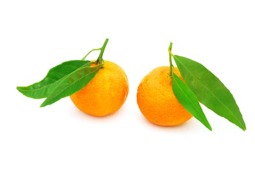  tangerine isolated on a white background