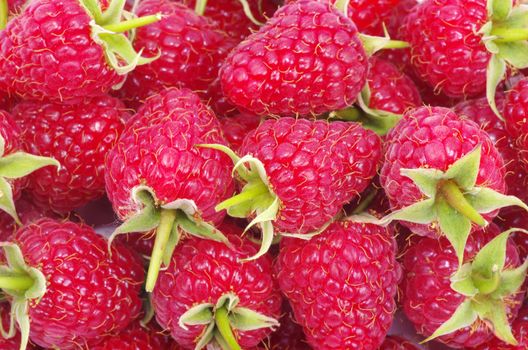 sweet fresh raspberry close up
