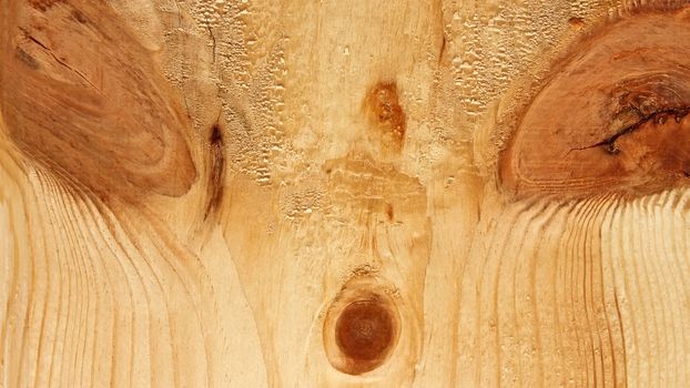 Knots on the wooden board similar as a face 