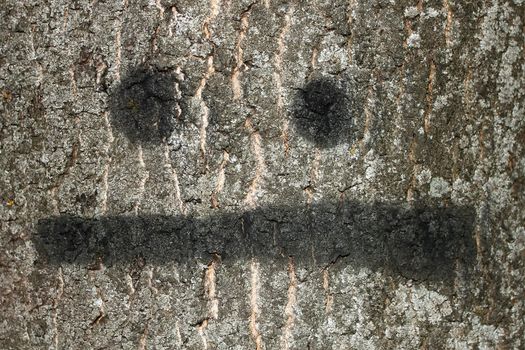 The bark of big old tree with painted smile