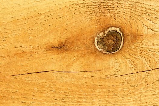 Knot on the fresh new wooden board on the bright sunlight