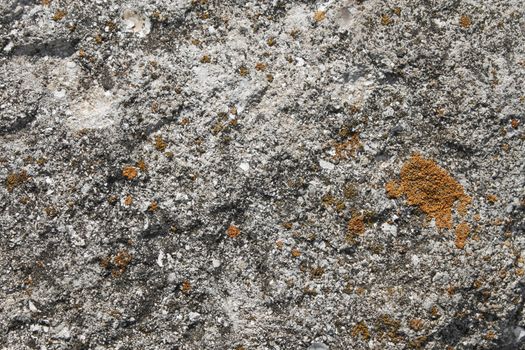 Calcareous stone partially covered with various kinds of lichens