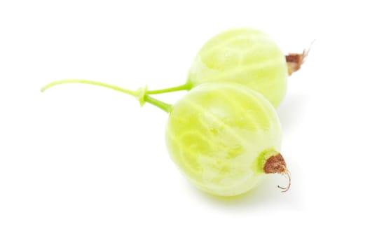 Green gooseberry fruit on white