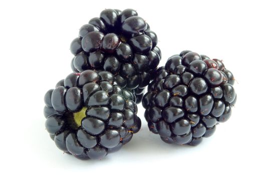 blackberry isolated on white background