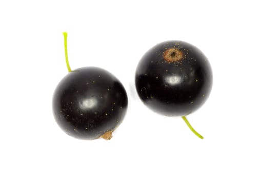 black currant fruits isolated on white background