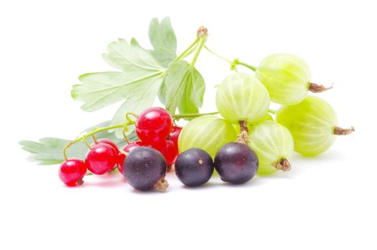 Fresh delicious summer berries isolated on white