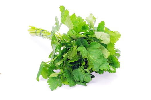 Bunch of fresh green parsley isolated on white background