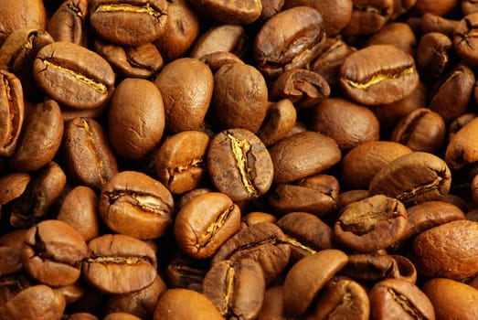 Close up of the aromatic coffe beans
