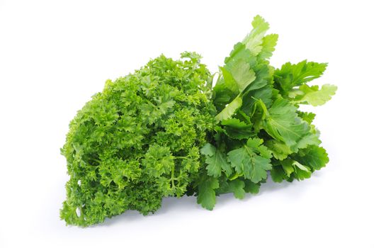 Bunch of fresh green parsley isolated on white background
