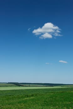Rural summer landscape. A lonely little cloud hanging high above the fields, forests and meadows