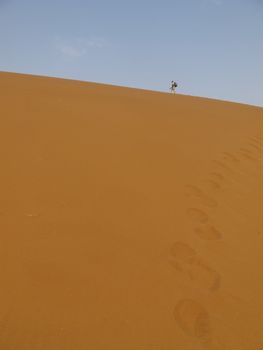 Sand Dune & Oli Namib-Nauktuft National Park Namibia