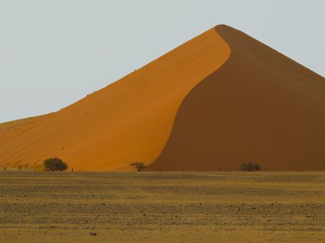 Sand Dune in Namib-Nauktuft National Park Namibia
