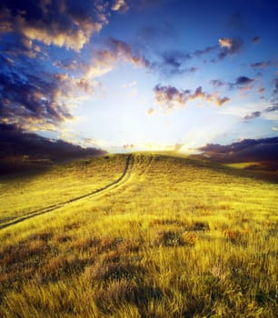 path on mountain meadow in nice day