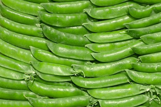 Young green pea pods laid in the rows