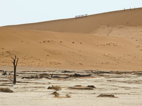 Sand Dune in Namib-Nauktuft National Park Namibia