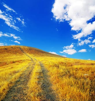 path on mountain meadow in nice day