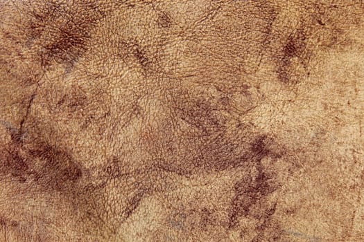 A fragment of the artificial leather as a texture. Macro photo