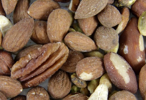 A close-up of mixed nuts, featuring walnuts, almonds, hazelnuts, and brazil nuts.
