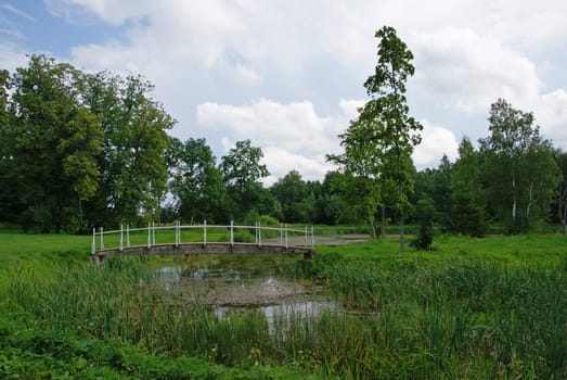 The small bridge through a pond on a background of a grass and trees