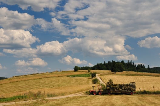 Harvest in mountain, tractor on field and cloudy sky