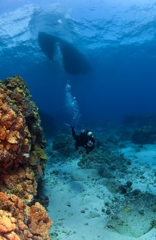 Scuba Diver exploring under the Boat in Kona Hawaii