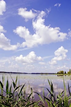 Beautiful view of summer lake and sky in sunny day.
