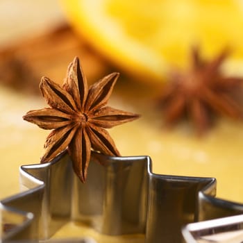 Star anise on Christmas tree shaped cookie cutter (Selective Focus, Focus on the middle of the anise)