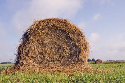 Rrolls of hay is a mark of midsummer