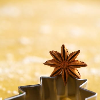Star anise on Christmas tree shaped cookie cutter lying on dough (Selective Focus, Focus on the upper arms on the right side of the anise )
